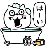 ねこたまっしぐら大人の長文