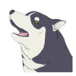 凛々しいハスキー