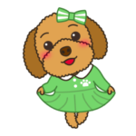 トイプードルのあんずちゃん2