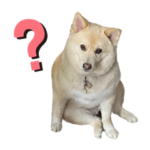 リカちゃんといっしょ