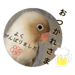 チノカフェさんちの♪喜怒哀楽いんこ