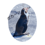 動物さんたちのスタんプ