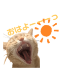 うちの愉快な仲間達