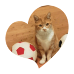 ダヤンスタンプ