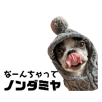 気付けば覚えちゃってる楽チン韓国語⑤