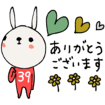 mottoの伝えるうさぎ♡毎日