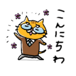 茶トラおじいちゃん猫