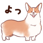 かわいいコーギーの日常