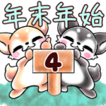 チワワっぽくないチワワちゃん4