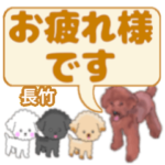 長竹「ながたけ」さんのトイプードル会話