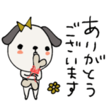 mottoの伝える犬♡日常