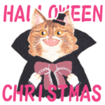 ニャンコのハロウィンとクリスマスセット
