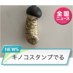 キノコスタンプ？！