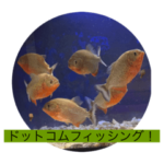 ドットコムフィッシング公式スタンプ01