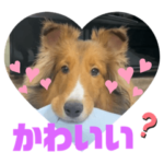 シルバー20221120