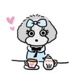 シルバープードルななちゃん