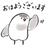 まいにち文鳥さん