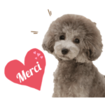 私はメルシー！2