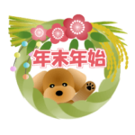 かわいい♪トイプードル4