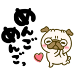懐かしい言葉♡パグさん