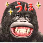 ゴリラ ベリンゲイ ベリンゲイ BIG
