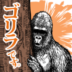 ゴリラ です。２