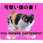 翻訳チャロ君の自慢！？