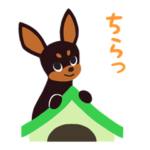 BARON BUDDIES 23 ミニチュア・ピンシャー