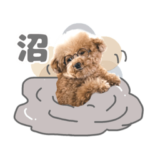 スーパーニートこてつ♀