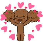 動く！ブラウンのトイプードルさん