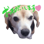 ラムちゃんカイくん2