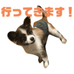 田辺家のラムちゃん