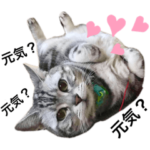 ラムちゃんとベルくん♡