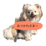 アイくんラムちゃんと一緒