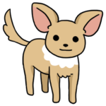 ふつうのチワワ