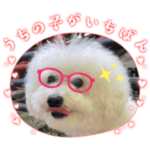 フワモコこはく様スタンプ1