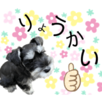 アーニャ号の日常