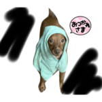 ピィスタンプお試し1