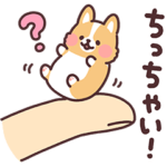 まるまるコーギー25 ちっちゃい!