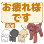 高須「たかす」さんのトイプードル会話