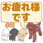 小口「おぐち」さんのトイプードル会話