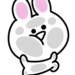 甘やかされて育った。ミニ白うさぎ