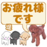 堤「つつみ」さんのトイプードル会話