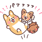 まるまるコーギー24 わんわんパーティー