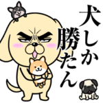 目ヂカラ☆わんこ8