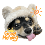 @チワックスのエースくん