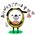 mottoの犬をまとう犬♡