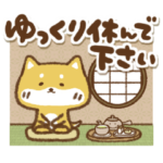 豆柴ぴんちゃんの可愛い挨拶