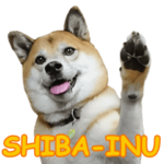Shiba Inu VETTEL