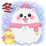 ポメラニアン「ぽちゃん」冬